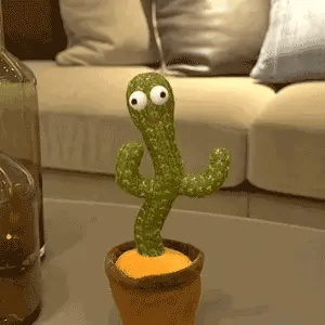 Cactus